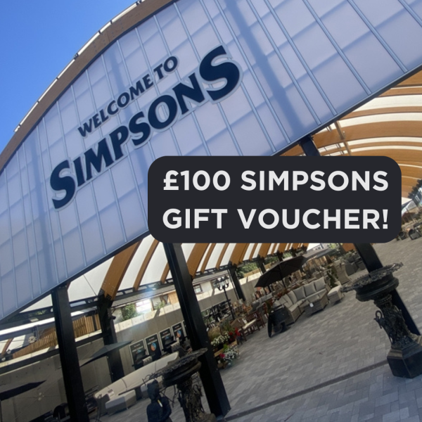 £100 Simpsons Gift Voucher